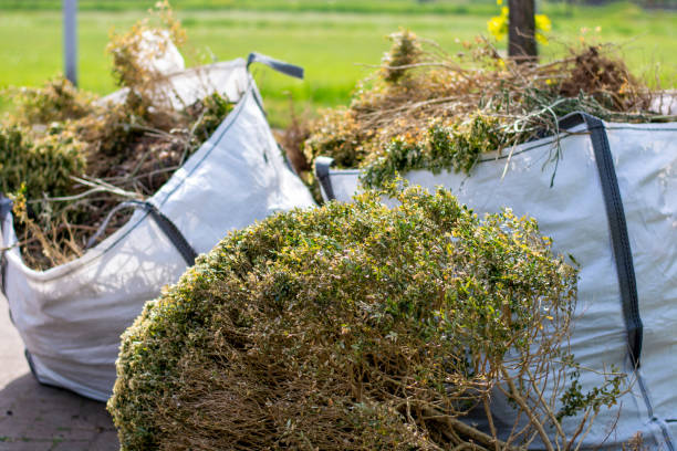 Professional Junk Removal Services in Fort Shawnee, OH