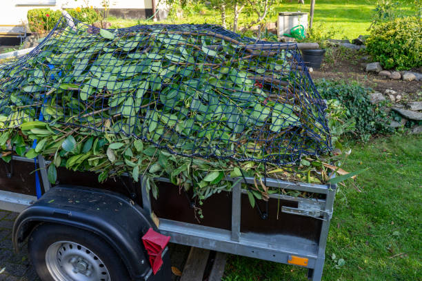 Shed Removal in Fort Shawnee, OH